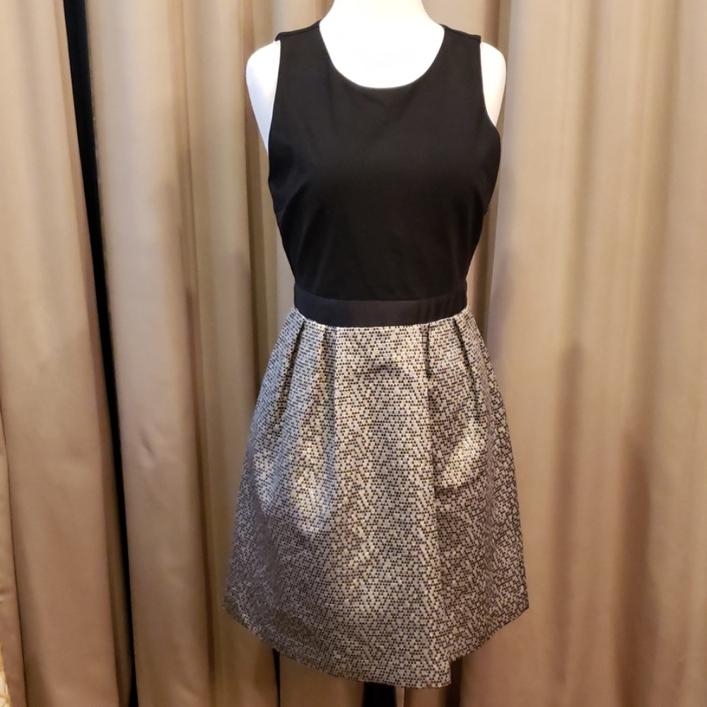 Donna Ricco Dress